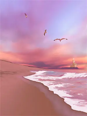 樱花君